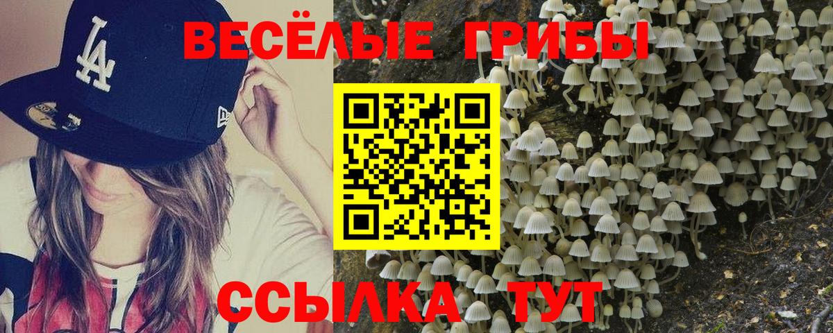 Галлюциногенные грибы прущие грибы  Вход с VPN  Лесозаводск  Псилоцибиновые грибы мухоморы 