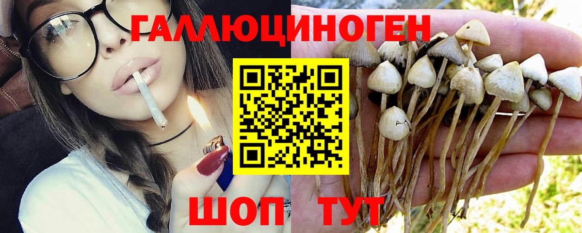Марихуана  Лесозаводск  Где продают наркотики?  МЕФ   Гашиш  Гашиш  Вход с VPN  Cocaine 