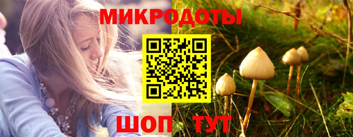 Галлюциногенные грибы MAGIC MUSHROOMS Лесозаводск